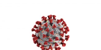 Elternbrief vom Bundesminister Heinz Faßmann | Pismo staršem