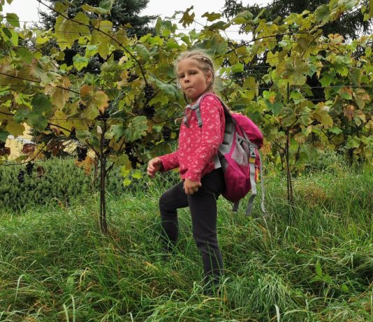 Wandertag der 3. Klassen | Pešačenje tretjih razredov