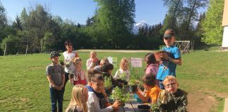 Es duftet so herrlich nach frischen Kräutern | Novi krajtlhi v gartlnu