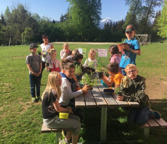 Es duftet so herrlich nach frischen Kräutern | Novi krajtlhi v gartlnu