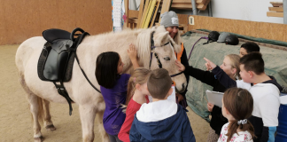 Lernen mit Pferden – 3. Klassen | razreda