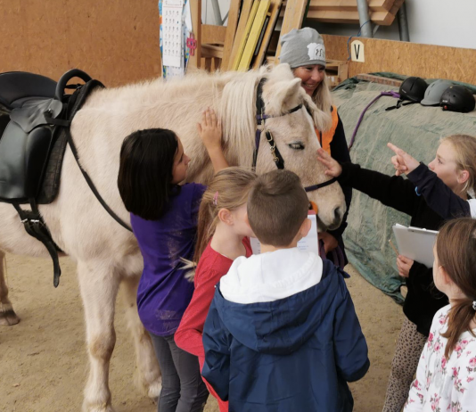 Lernen mit Pferden – 3. Klassen | razreda