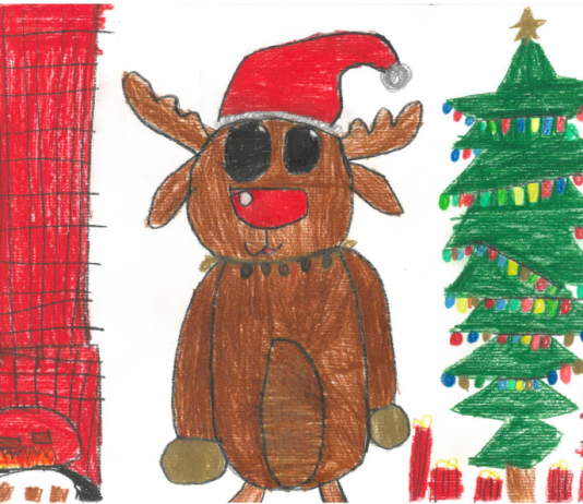 Das Team der VS Damtschach wünscht allen FROHE WEIHNACHTEN / Tim LŠ Domačale želi vsem SREČEN BOŽIČ