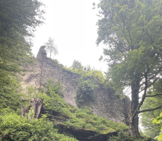 Wandertag/pešačenje