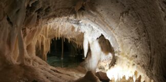 PROJEKTTAGE in EISENKAPPEL / PROJEKTNI DNEVI V ŽELEZNI KAPLI