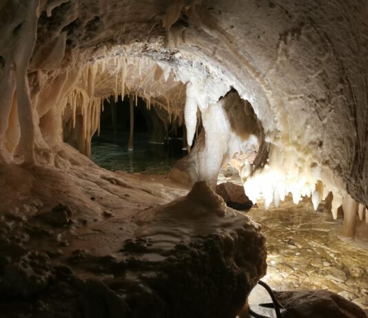 PROJEKTTAGE in EISENKAPPEL / PROJEKTNI DNEVI V ŽELEZNI KAPLI