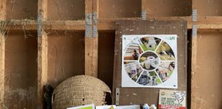 Lehrausgang zum Bauernhof Borchardt / obisk kmetije Borchardt