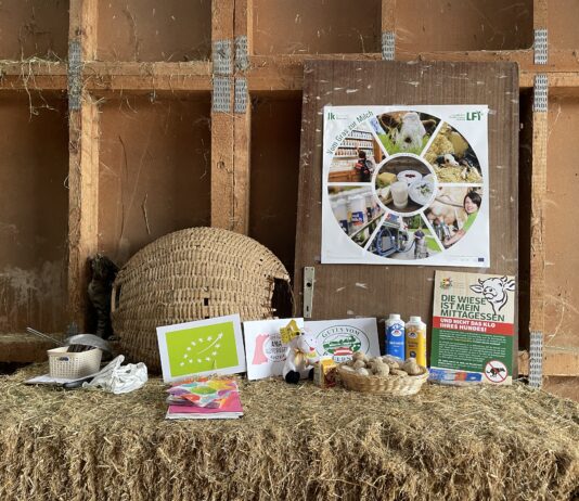 Lehrausgang zum Bauernhof Borchardt / obisk kmetije Borchardt