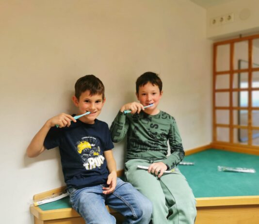 Zahnfee / zobna vila