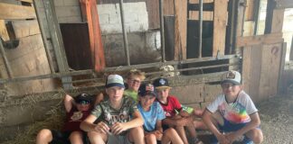 Was wir so machen / kaj tako delamo