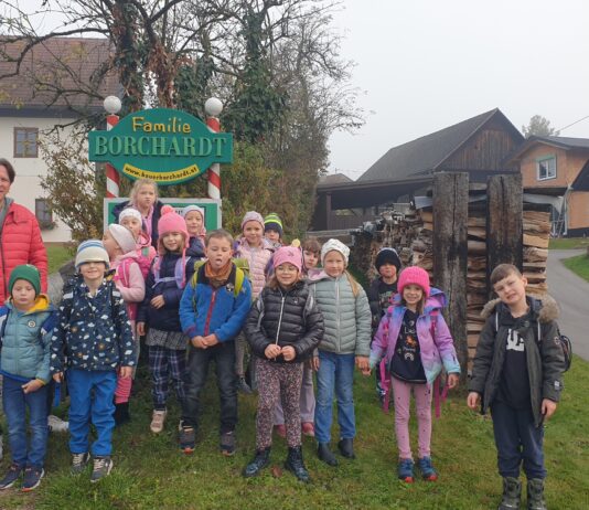 Lehrausgang Bauernhof Borchardt| obisk kmetije