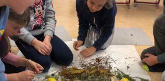 Kunstprojekt Arcimboldo