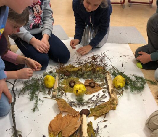 Kunstprojekt Arcimboldo