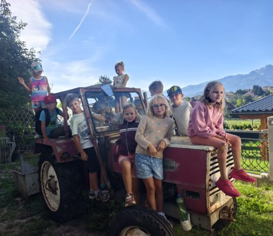 Sommerschule | poletna šola